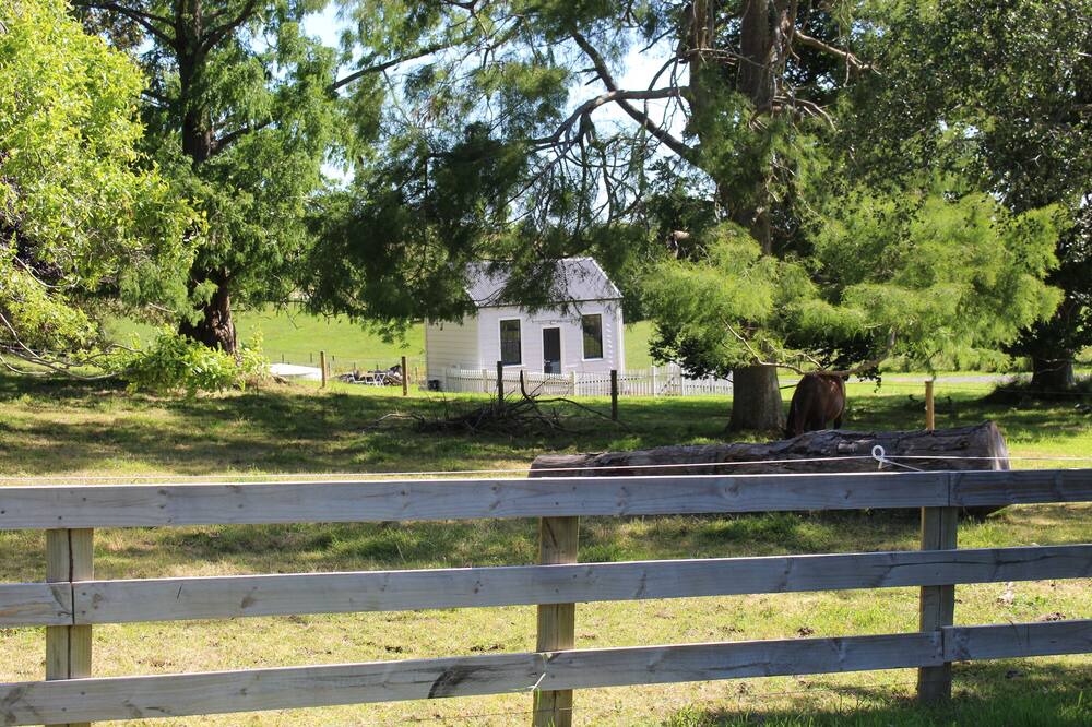 Photo of Outdoor in Maungatautari