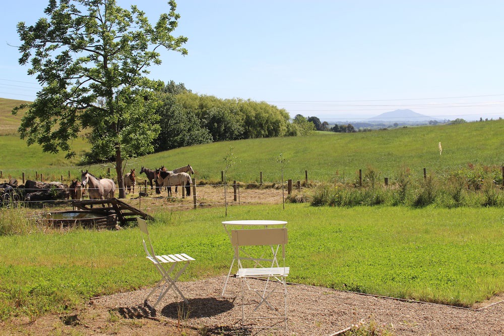 Photo of Outdoor in Maungatautari