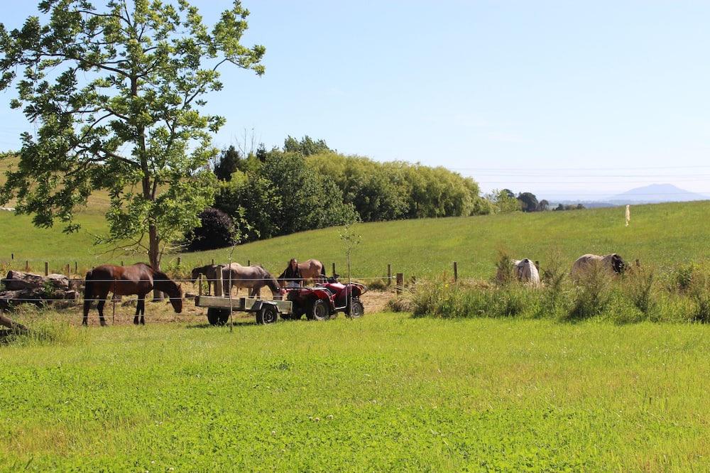 Photo of Outdoor in Maungatautari