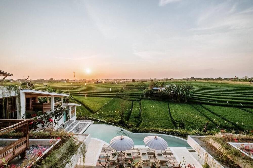 Photo of Outdoor in Babakan