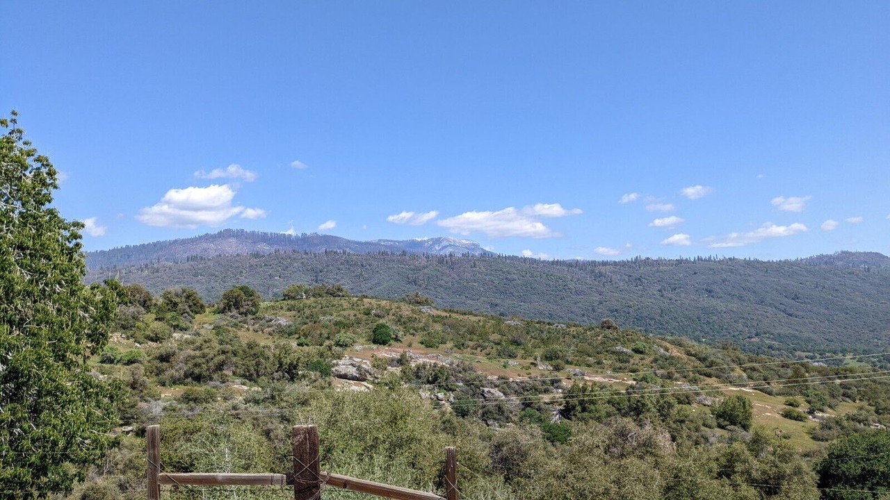 Photo of Outdoor in Badger