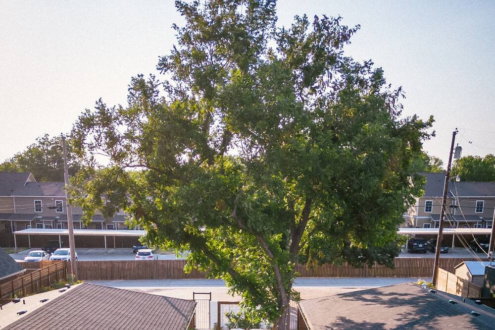 Photo of Outdoor in Austin Ave.