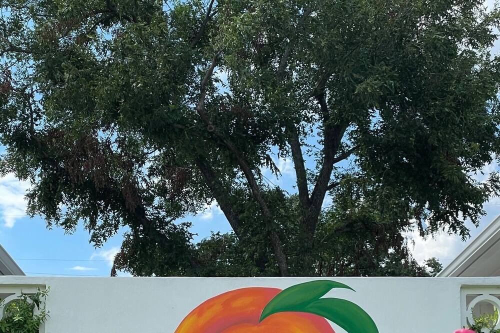 Photo of Outdoor in Austin Ave.