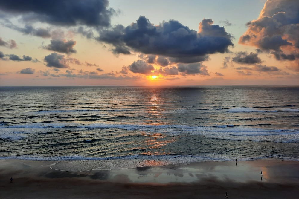 Photo of Others in Rio Mar Beaches