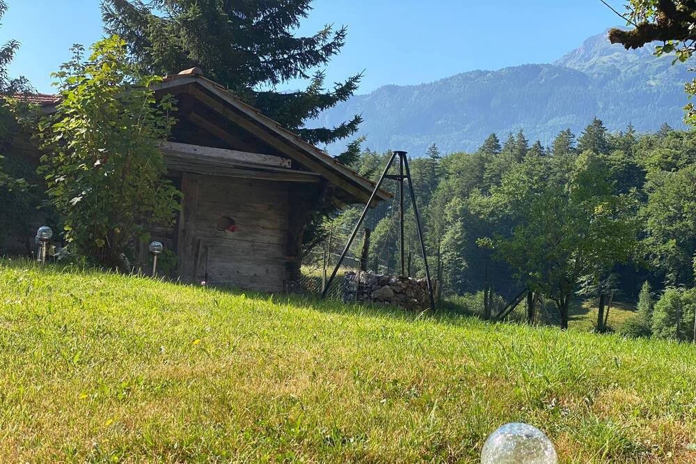 Photo of Others in Meiringen