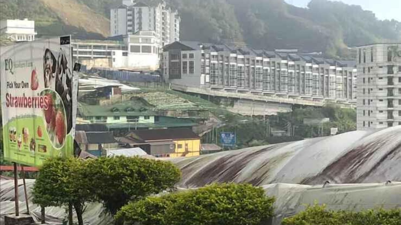 Photo of Others in Brinchang