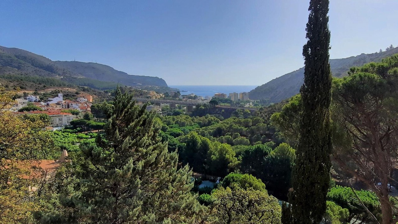 Photo of Outdoor in Colera
