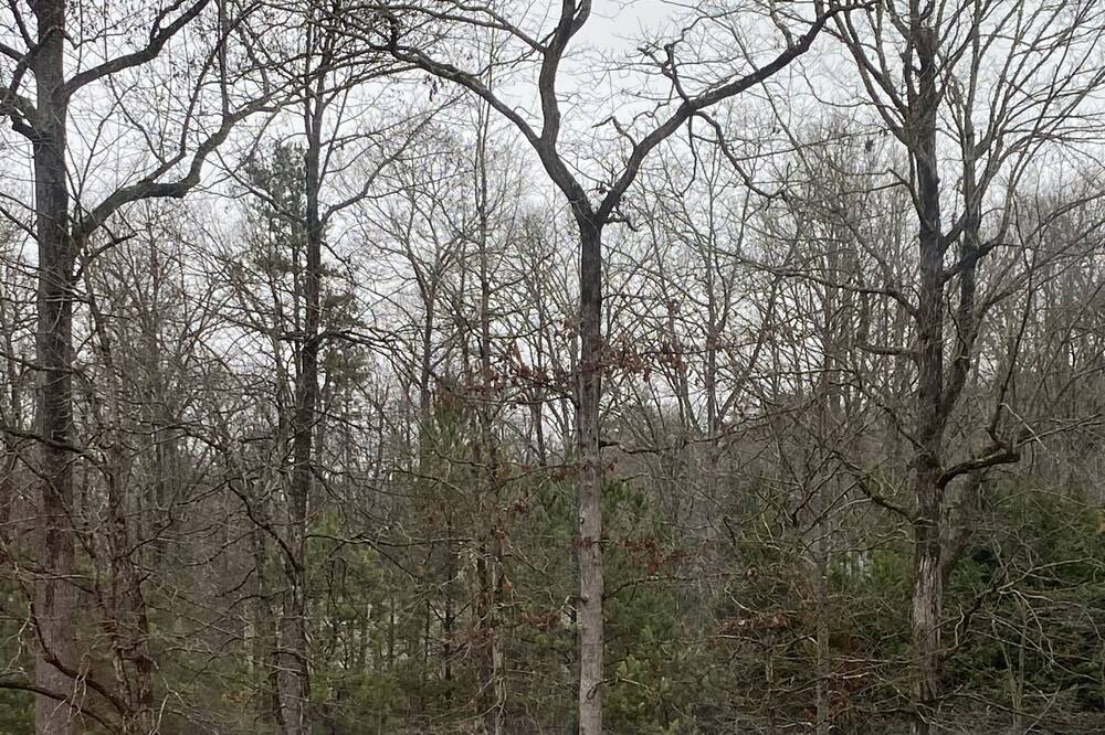 Photo of Outdoor in Ball Ground