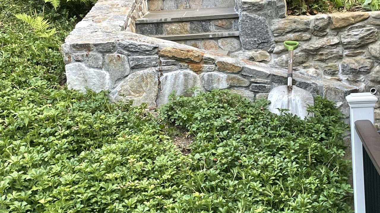 Photo of Outdoor in South Britain