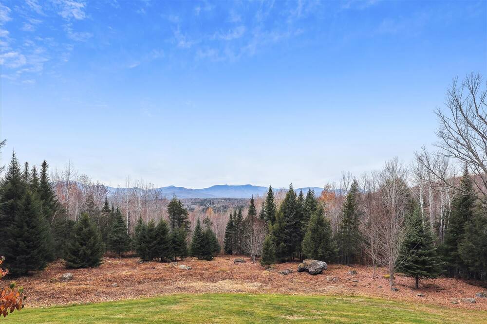 Photo of Others in Stowe Hollow