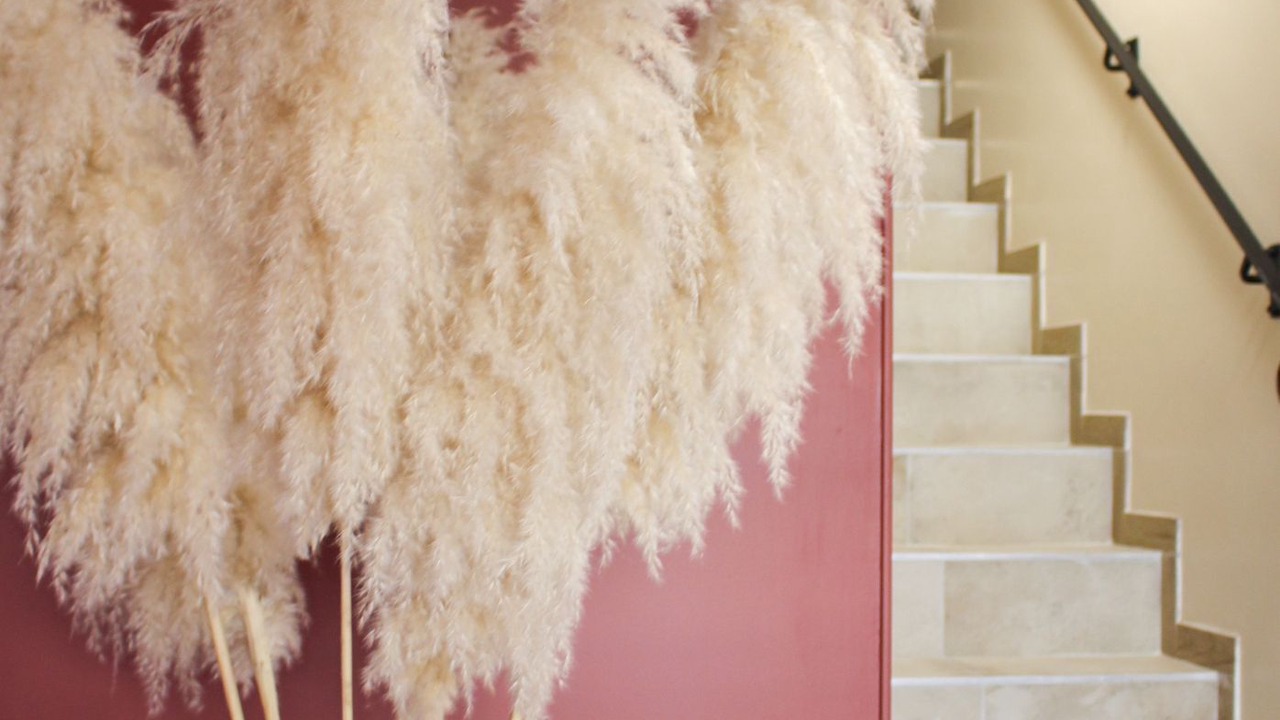 Photo of Others in Maubeuge