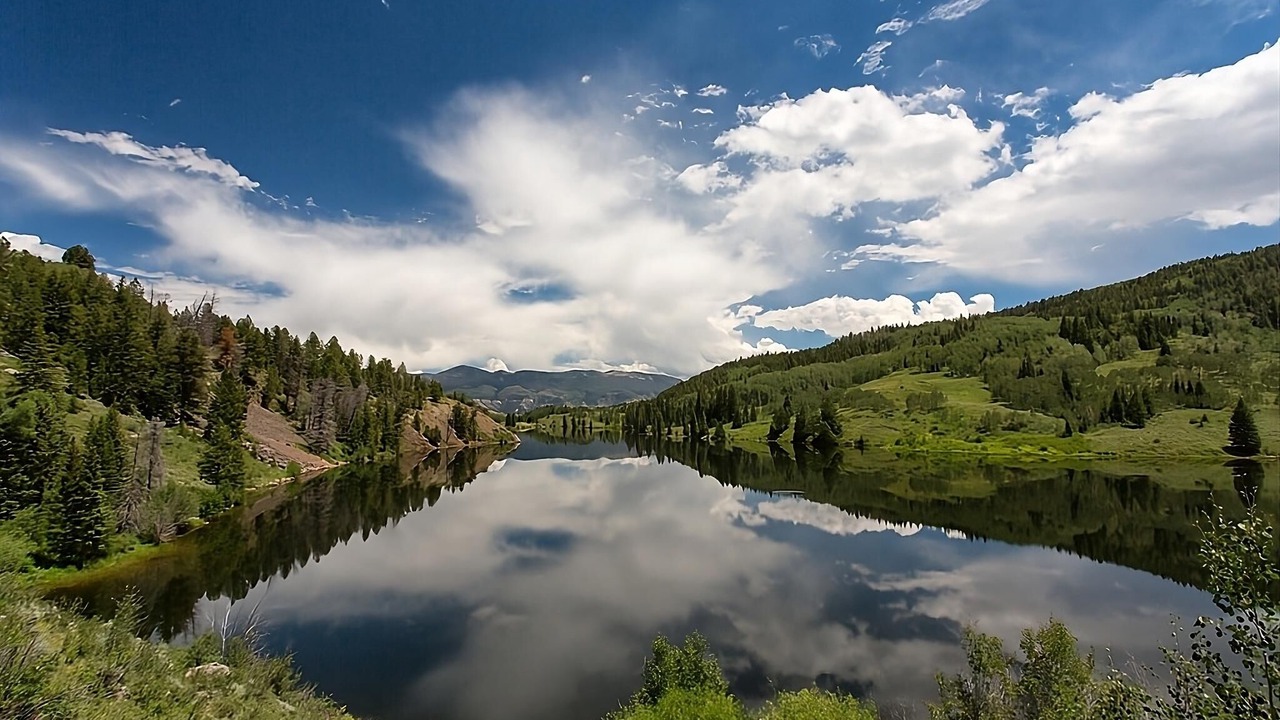 Photo of Outdoor in Williams