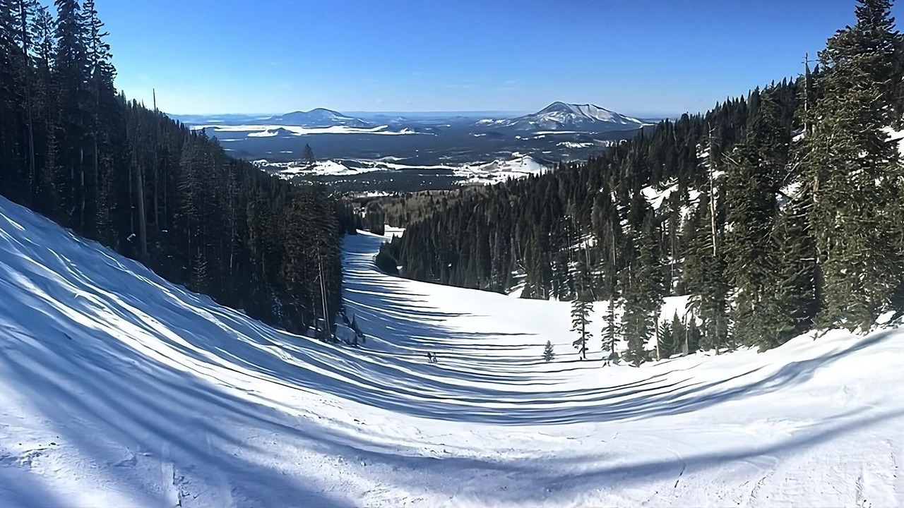 Photo of Others in Williams