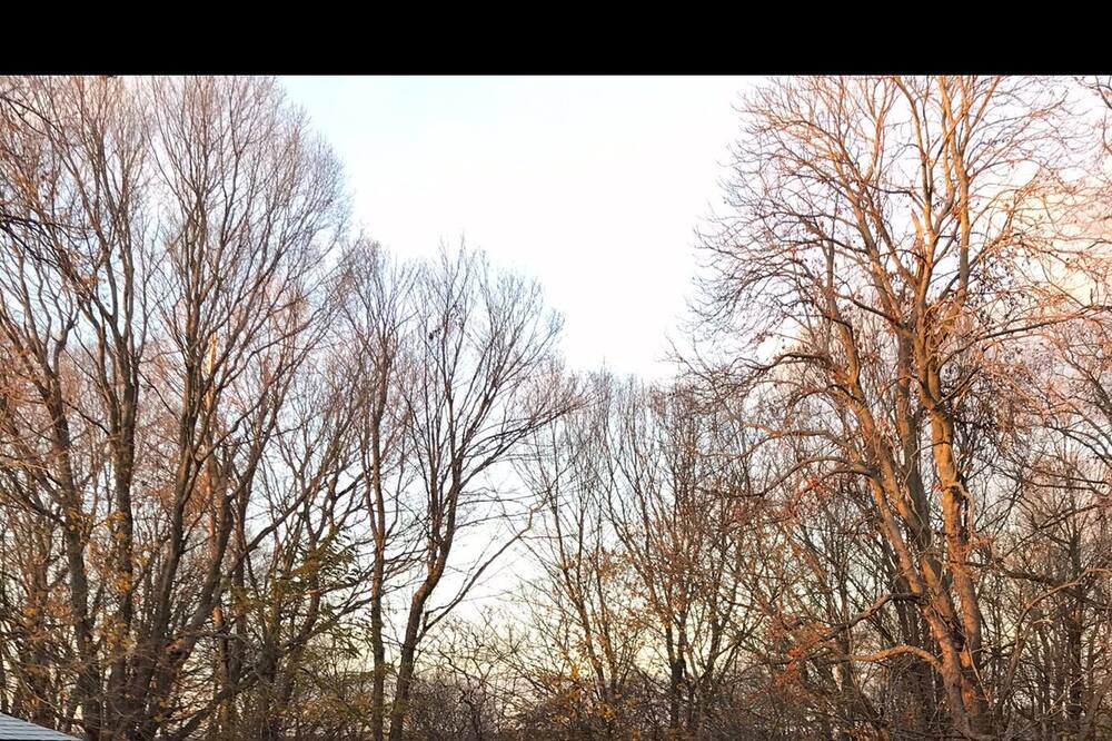 Photo of Outdoor in Port Stanley