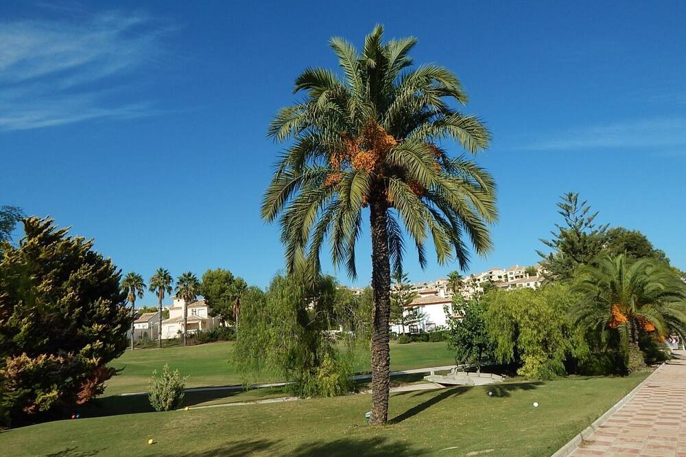 Photo of Outdoor in Orihuela Costa