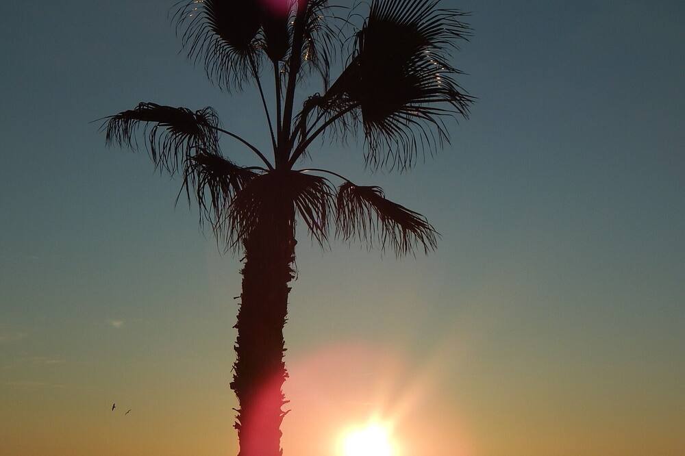 Photo of Others in Orihuela Costa