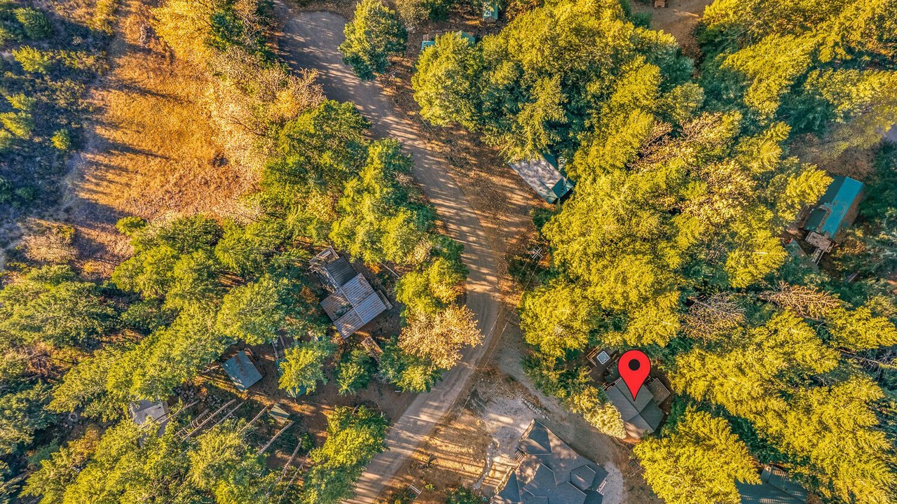 Photo of Outdoor in Packwood