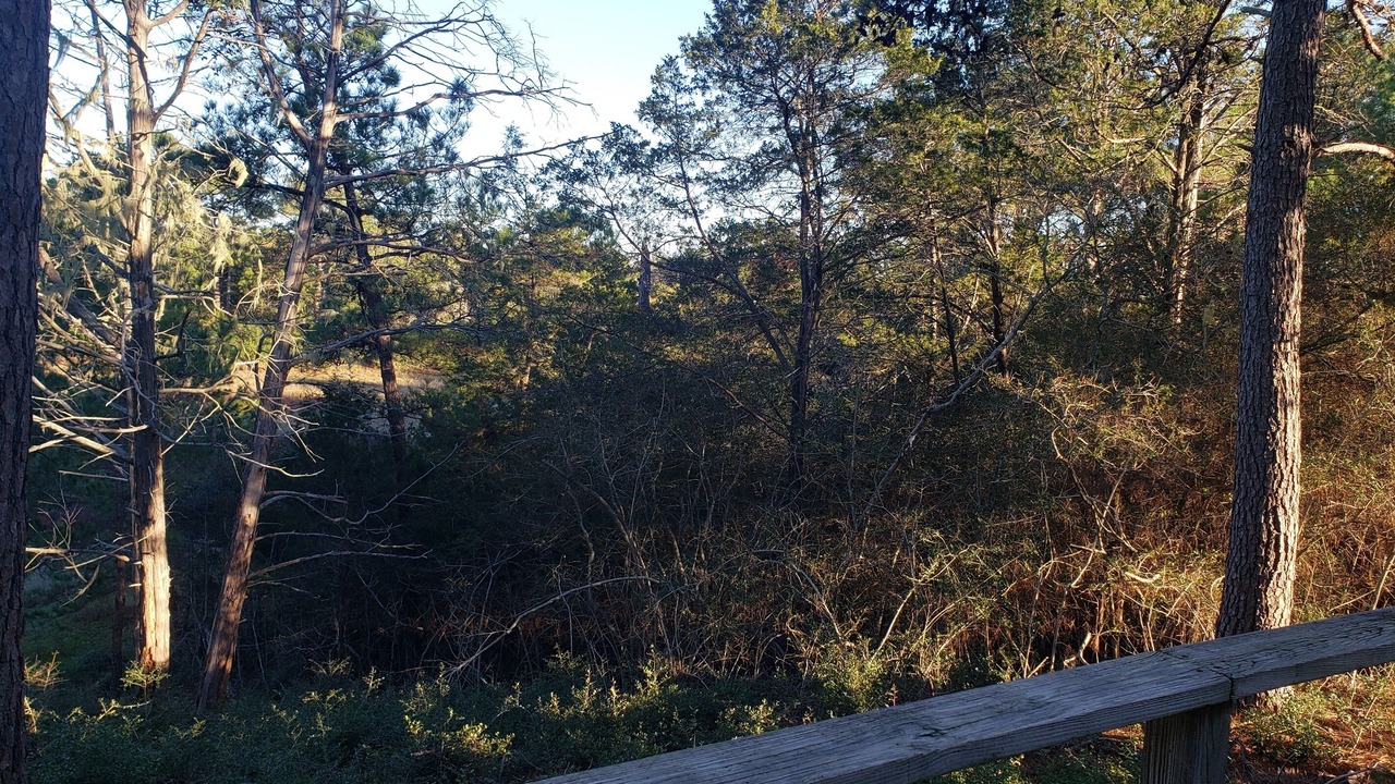 Photo of Outdoor in Smithville