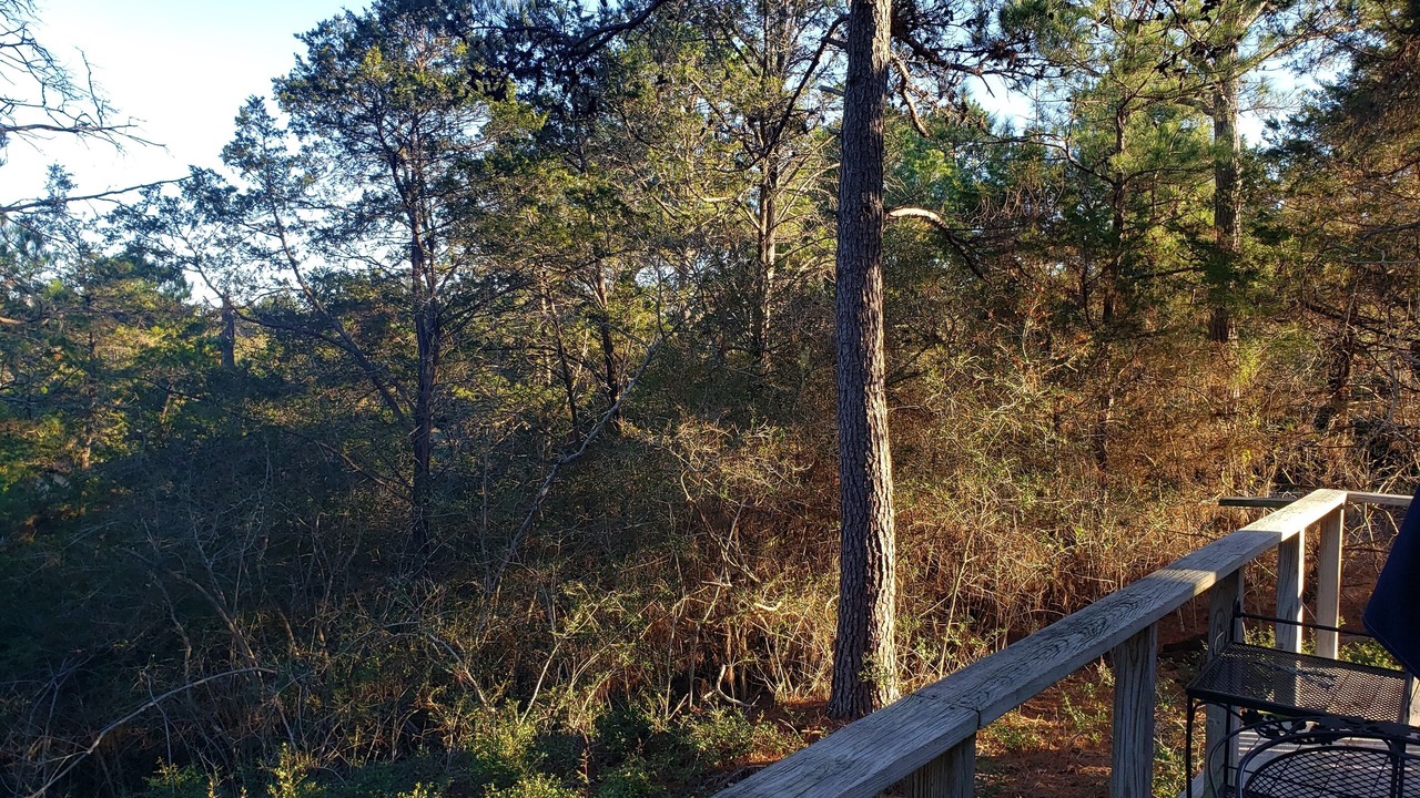 Photo of Outdoor in Smithville