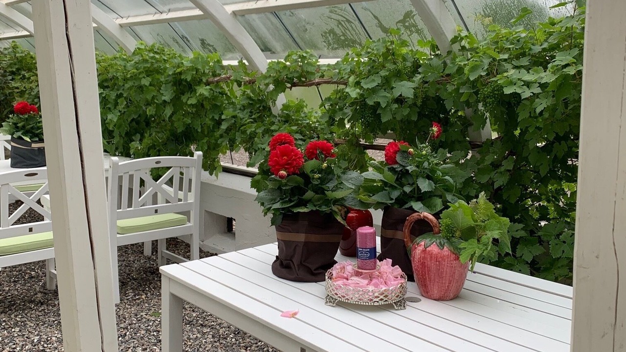 Photo of Outdoor in Hadsund