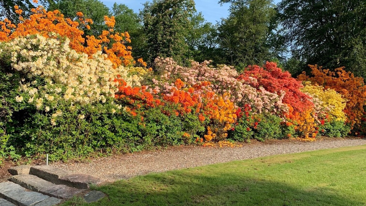 Photo of Patio Balcony in Hadsund