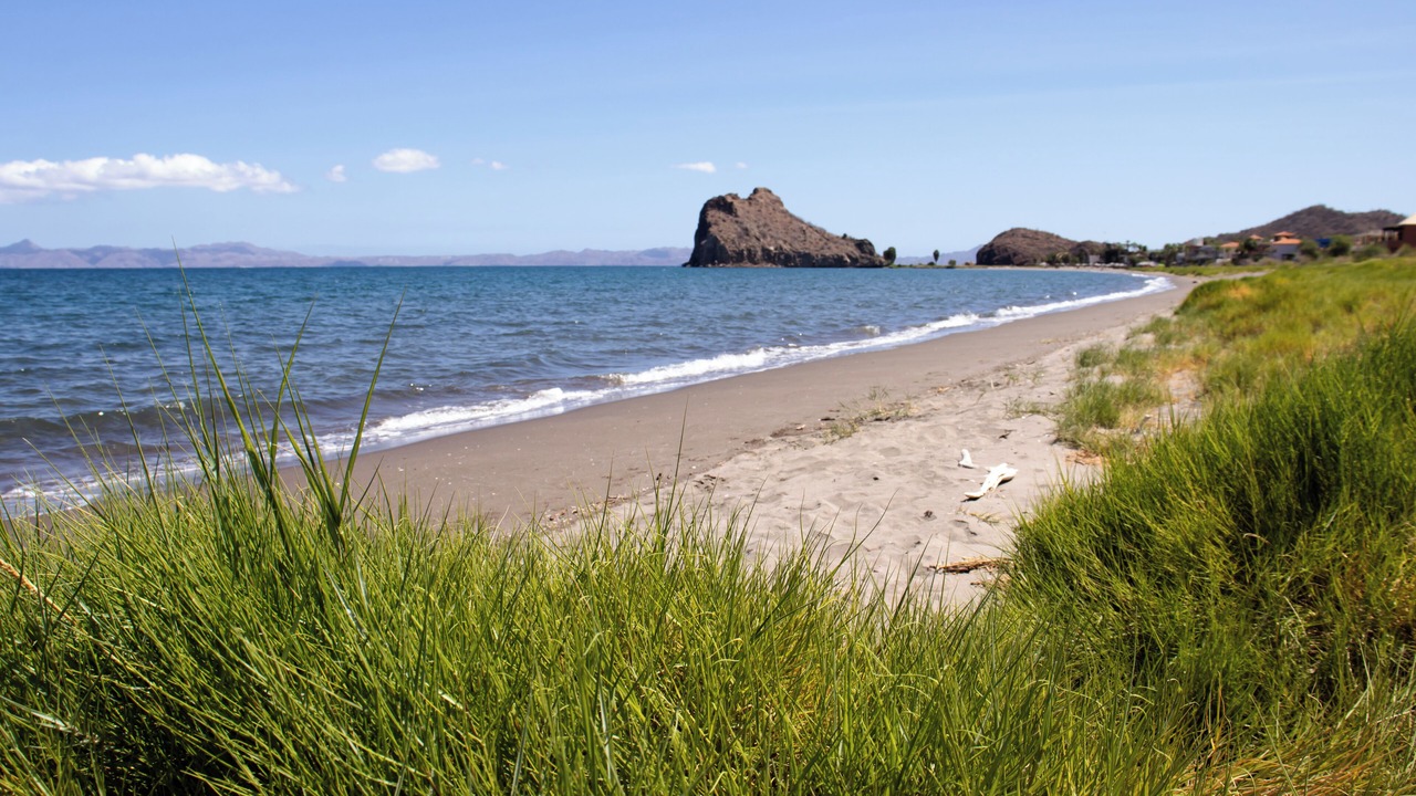 Photo of Others in Nopolo