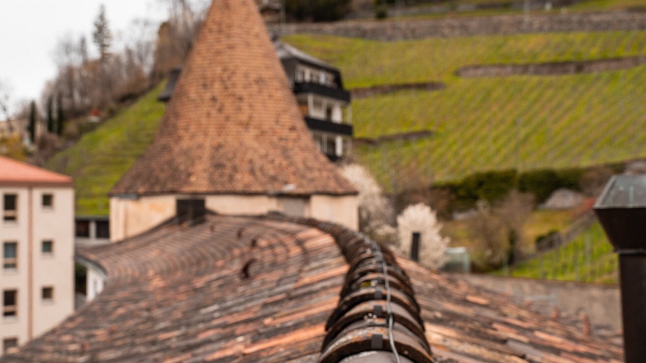 Photo of Outdoor in Old Town