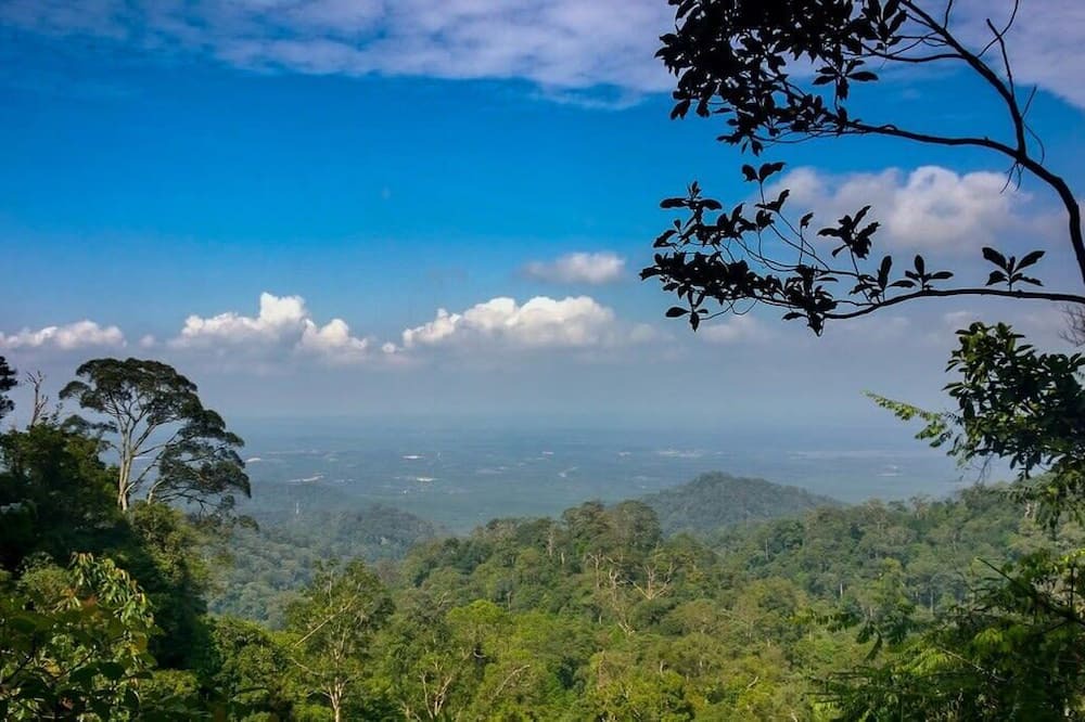 Photo of Others in Bukit Indah