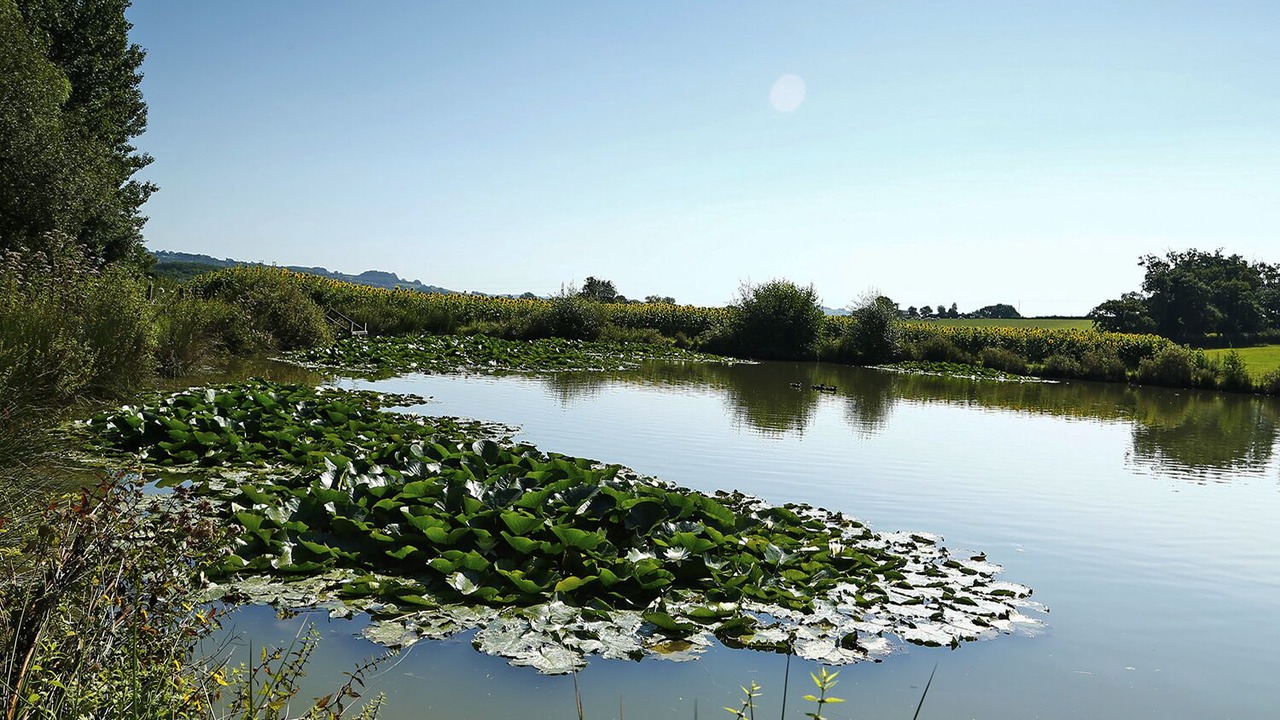 Photo of Outdoor in Kingskerswell