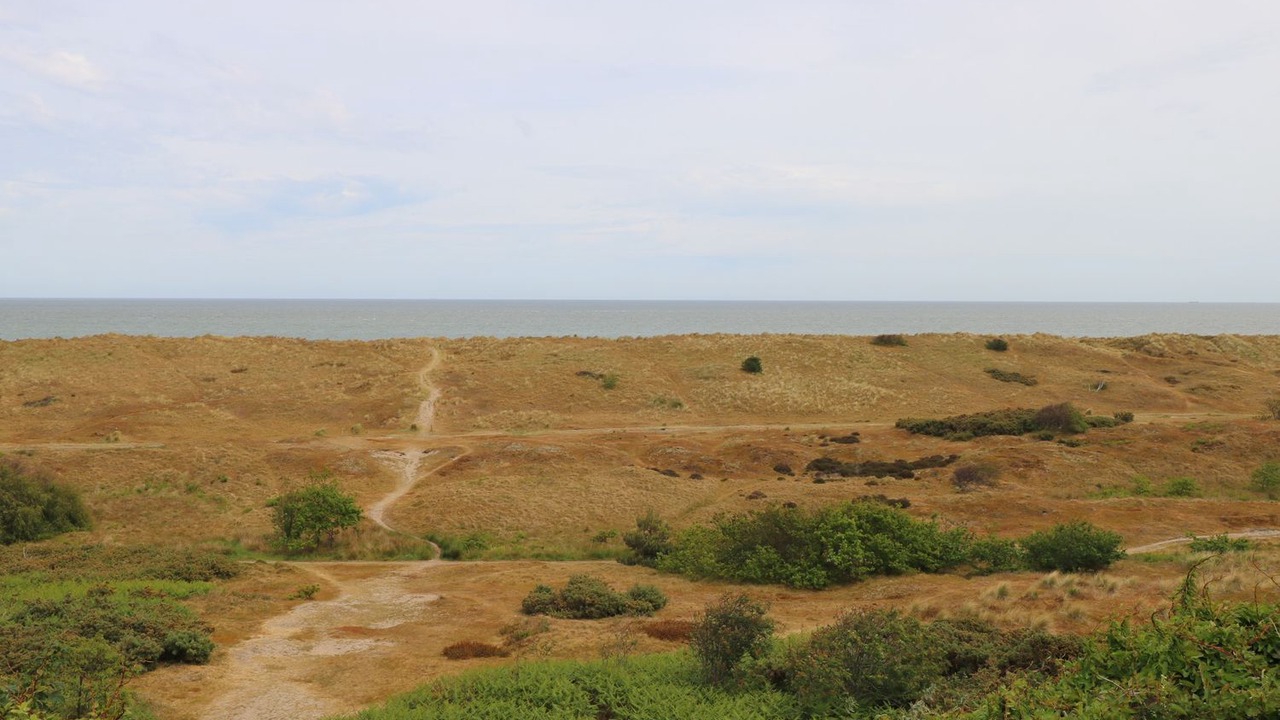 Photo of Others in Winterton-on-Sea