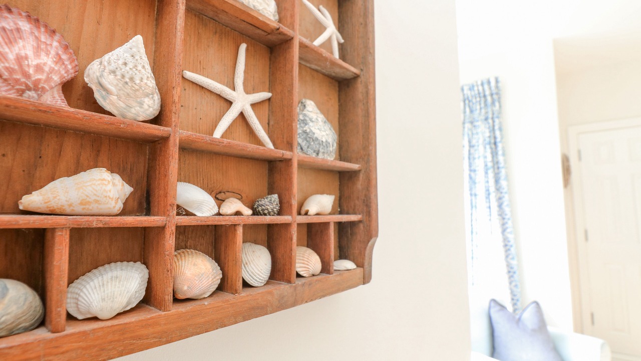 Photo of Others in Swanage