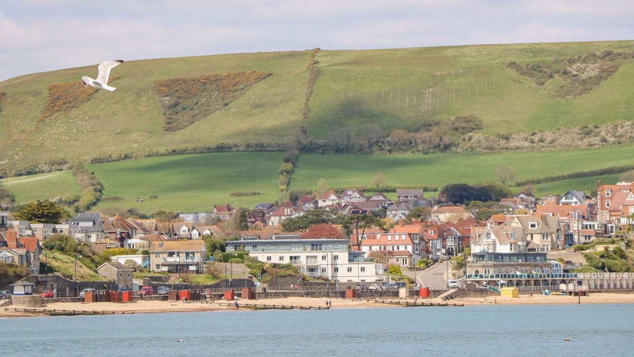 Photo of Others in Swanage