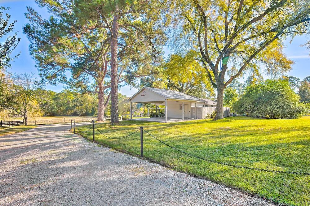 Photo of Outdoor in Willis