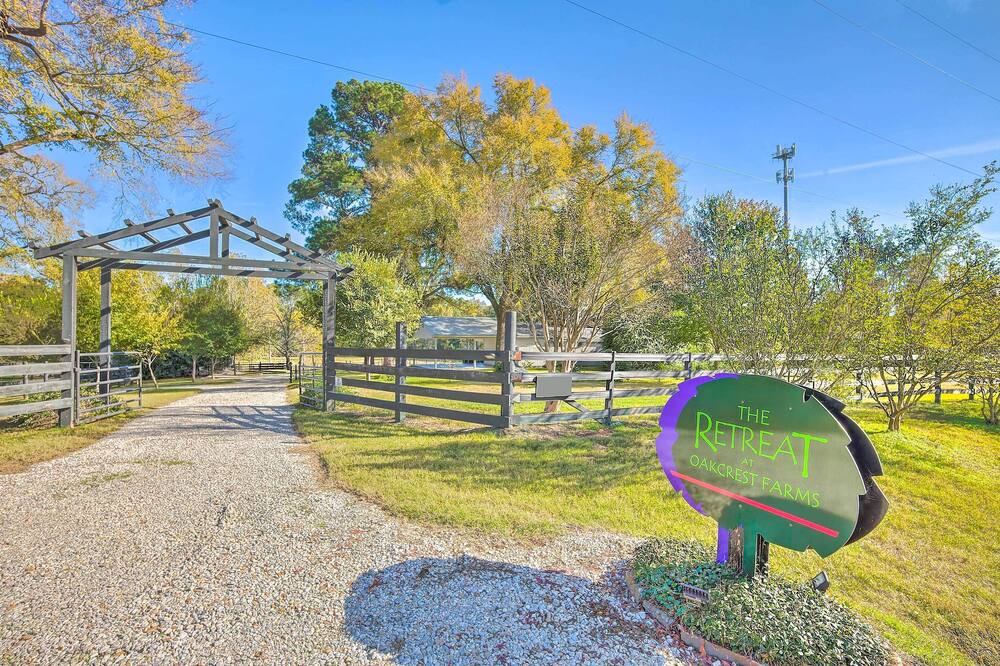 Photo of Outdoor in Willis