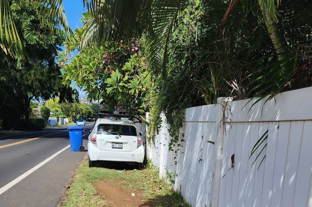 Photo of Outdoor in Kahala