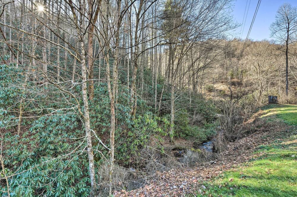 Photo of Others in Sylva