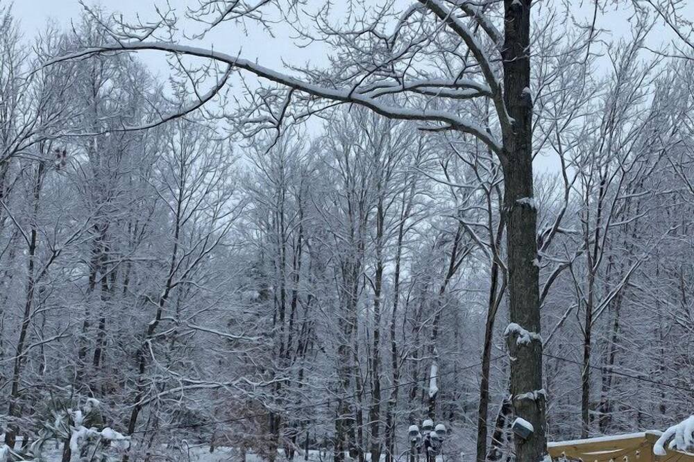 Photo of Others in Oliverea