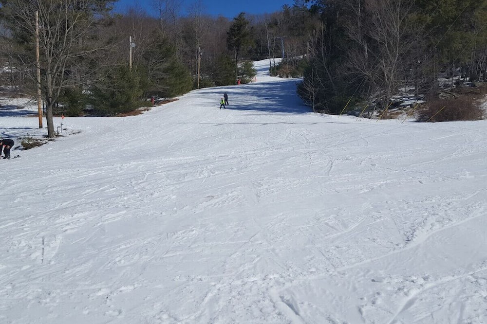 Photo of Others in Oliverea