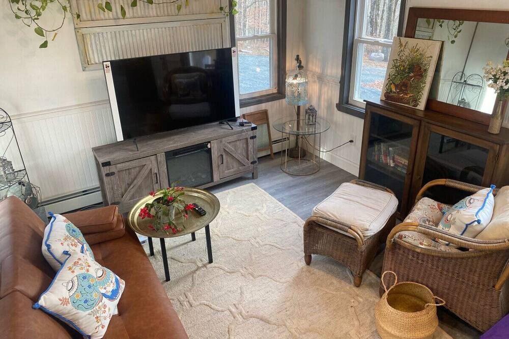 Photo of Livingroom in Oliverea