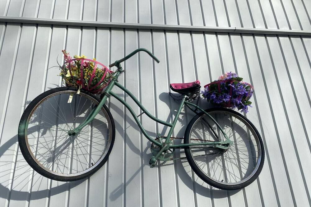 Photo of Others in Oliverea