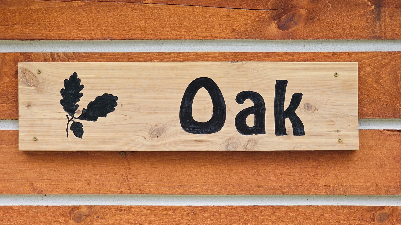 Photo of Outdoor in English