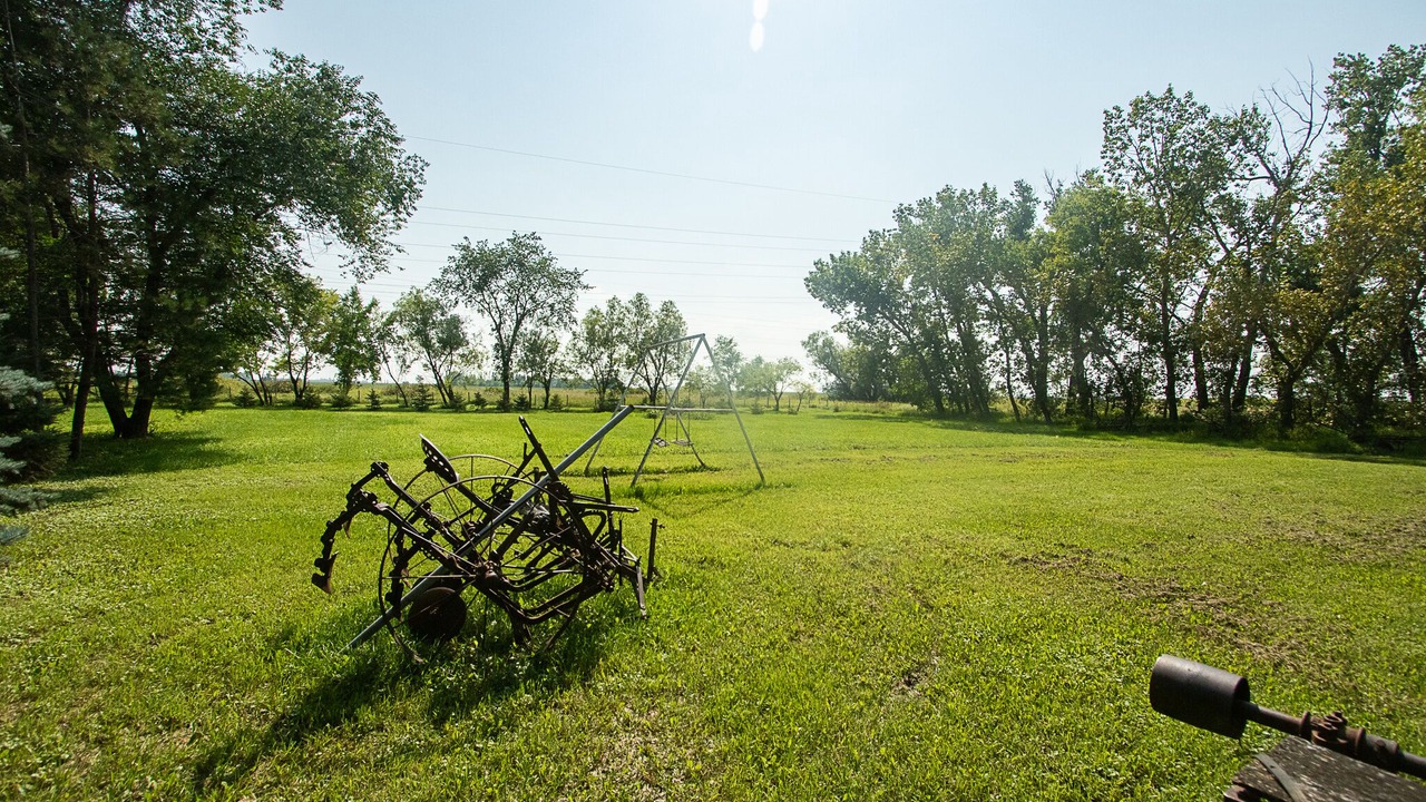 Photo of Outdoor in Oakbank