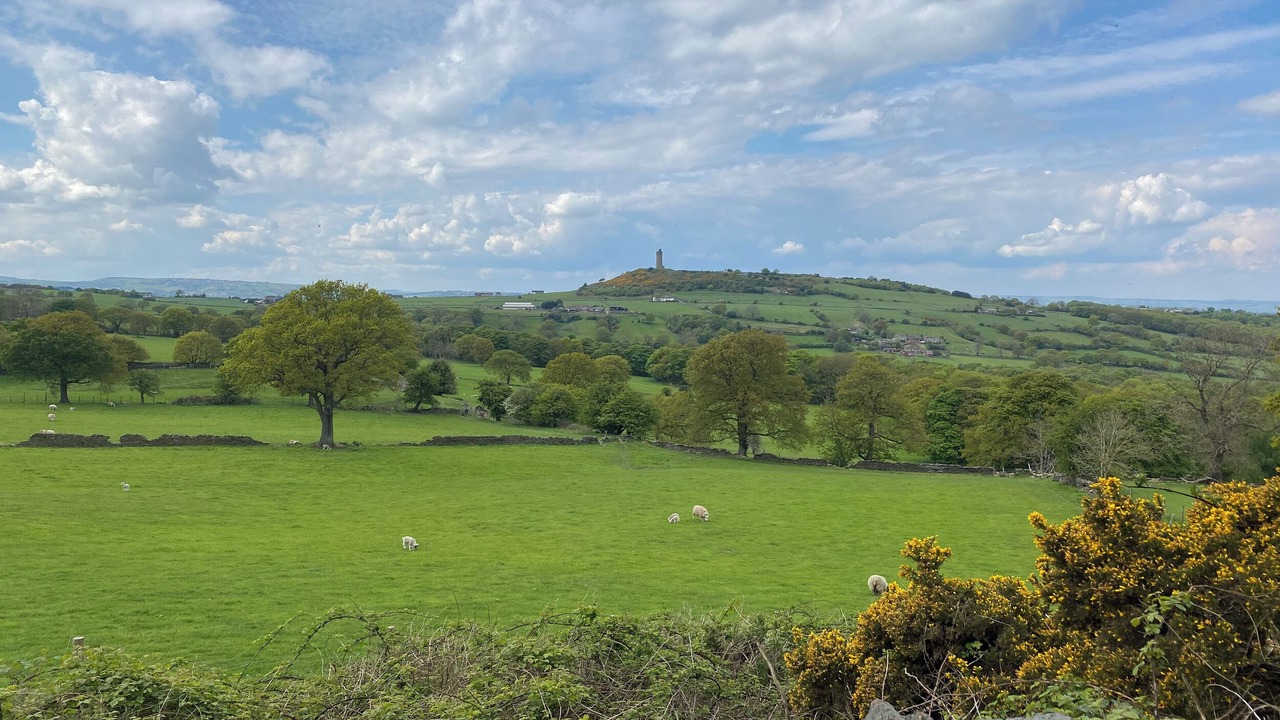 Photo of Others in Almondbury