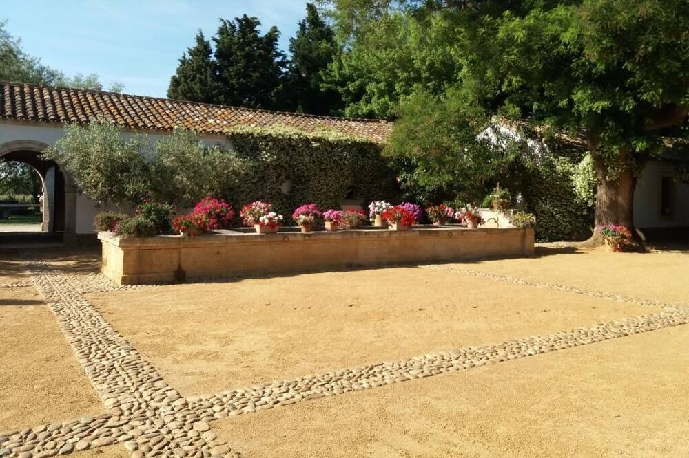 Photo of Others in Arles