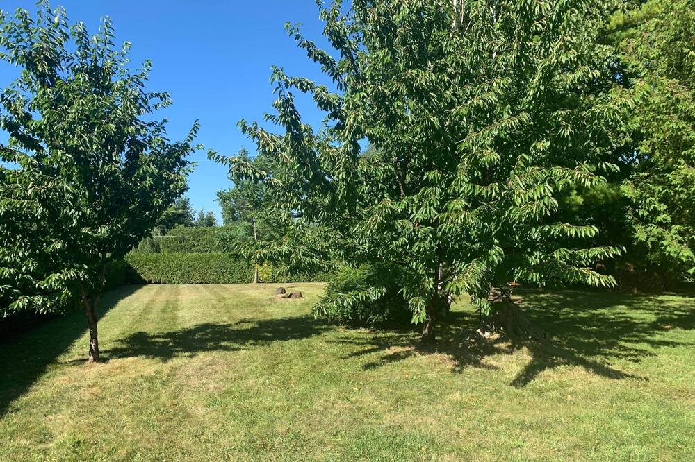 Photo of Outdoor in Collingwood