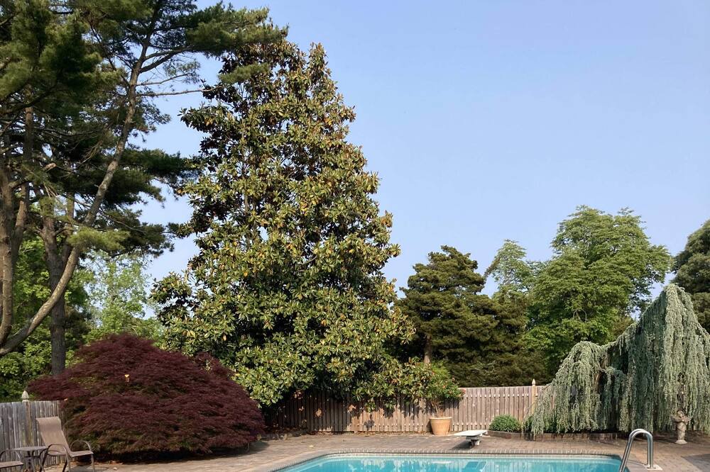 Photo of Others in Whitesboro