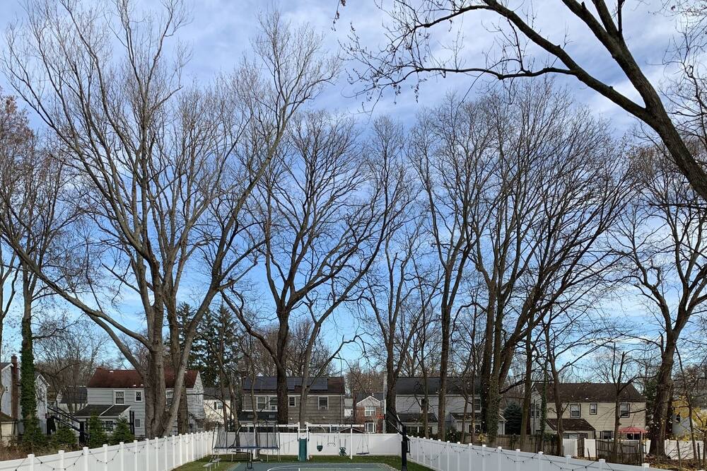 Photo of Others in Teaneck