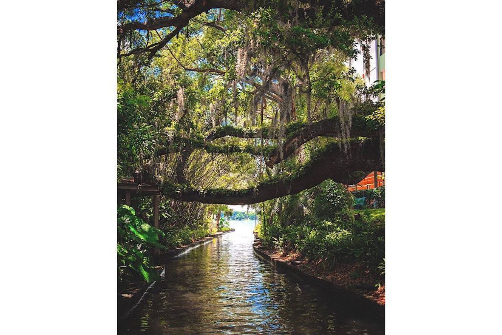 Photo of Others in Fairview Shores