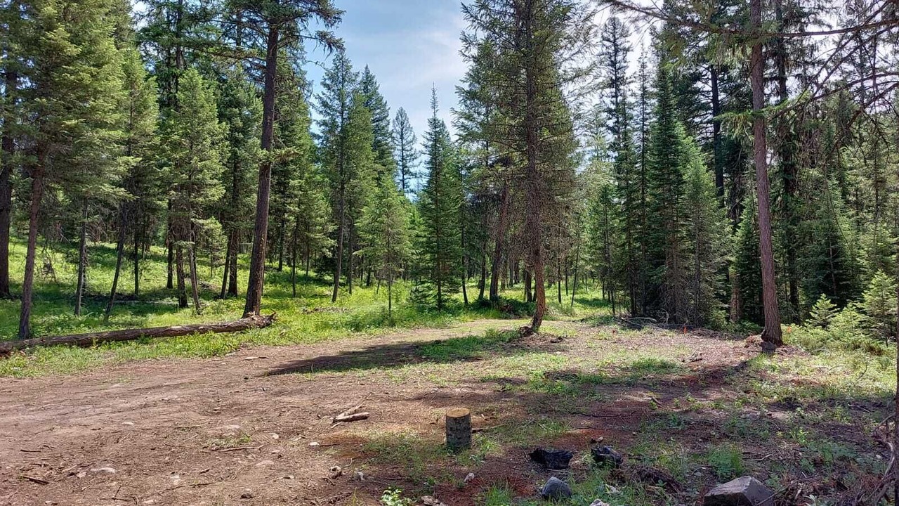 Photo of Others in Olney