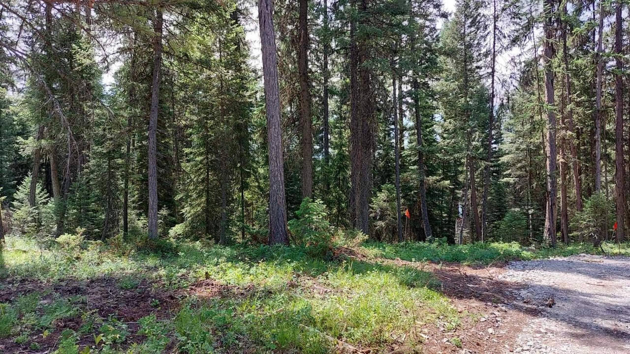 Photo of Outdoor in Olney